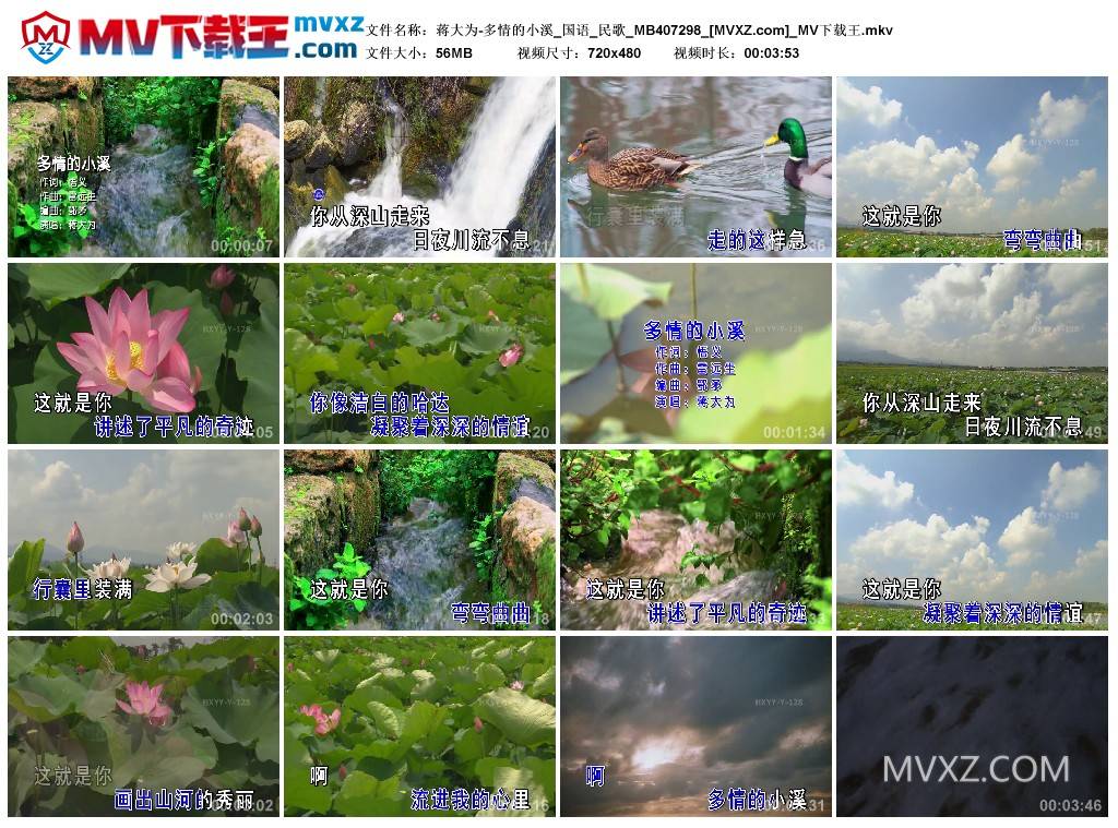 蒋大为-多情的小溪_国语_民歌_MB407298